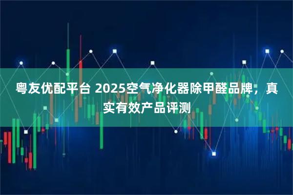 粤友优配平台 2025空气净化器除甲醛品牌，真实有效产品评测