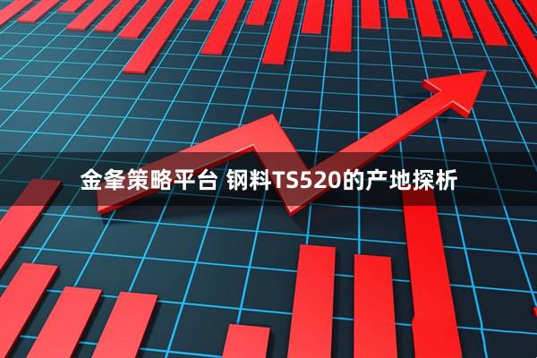 金夆策略平台 钢料TS520的产地探析
