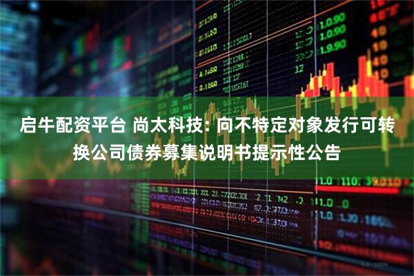 启牛配资平台 尚太科技: 向不特定对象发行可转换公司债券募集说明书提示性公告