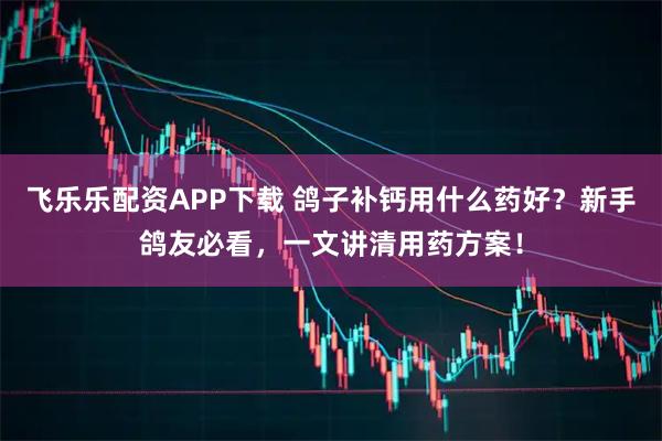 飞乐乐配资APP下载 鸽子补钙用什么药好？新手鸽友必看，一文讲清用药方案！